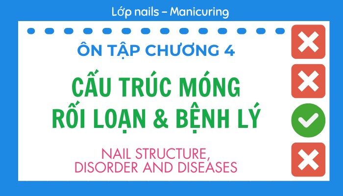 Ôn tập Chương 4 lớp Nails – Manicuring