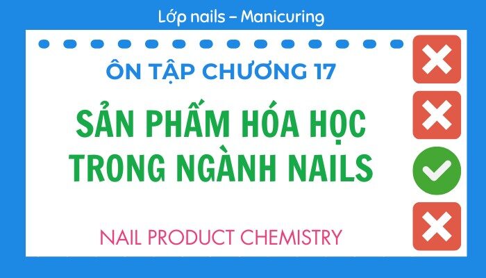 Ôn tập Chương 17 lớp Nails – Manicuring