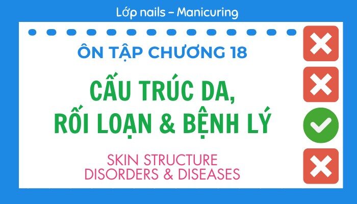 Ôn tập Chương 18 lớp Nails – Manicuring