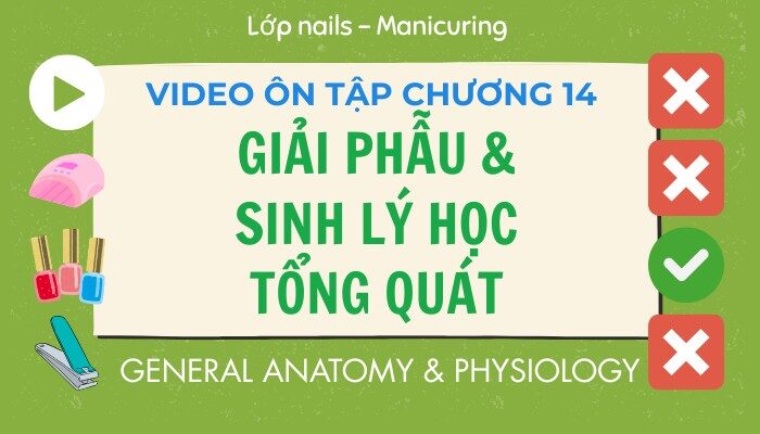 Video ôn tập Chương 14 lớp Nails – Manicuring