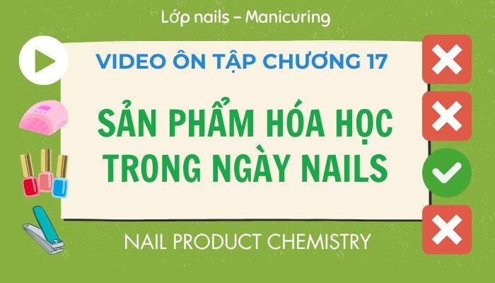 Video ôn tập Chương 17 lớp Nails – Manicuring