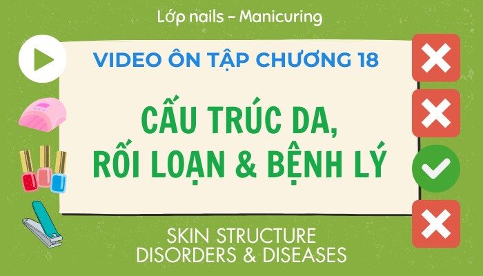 Video ôn tập Chương 18 lớp Nails – Manicuring